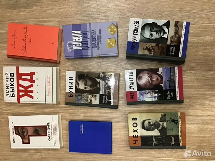 Быков, Рубина,Пелевин, Сенчин,Вайль, биографии