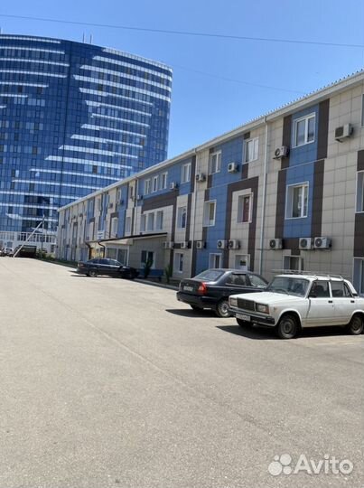 Оценка и экспертиза