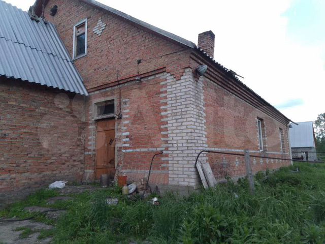 Домашняя юрга. Белянино. Белянино Кемеровская область. Белянино Кемеровская область зелёная 5.
