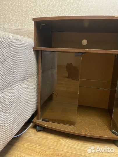 Тумба под телевизор 60х75х41