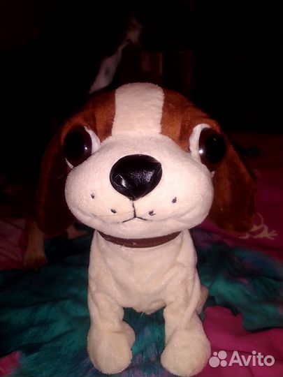 Игрушечная собака