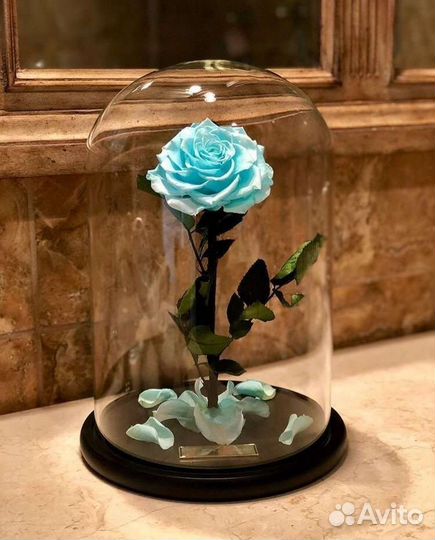 Роза в колбе