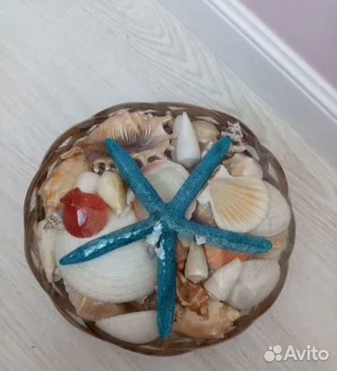 Набор ракушек