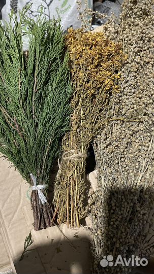 Можжевельник, скрутки, запарки