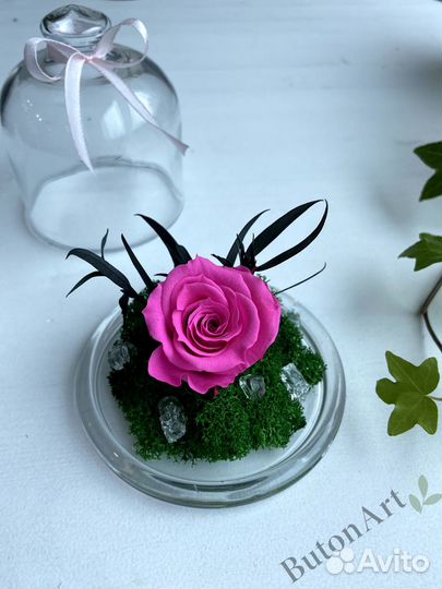 Роза в колбе