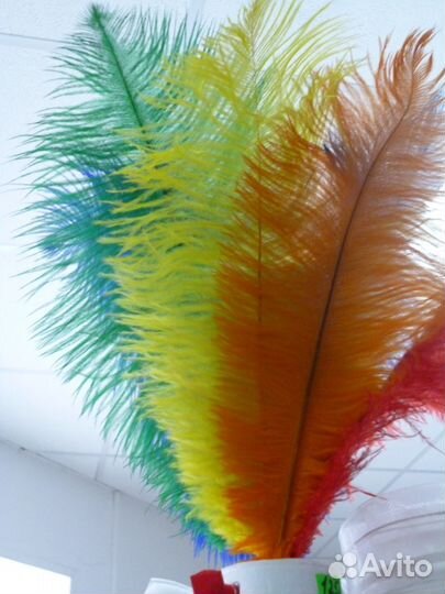 Боа, натуральное перо