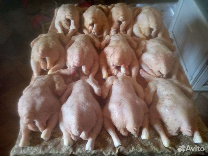 Домашнее мясо кур бройлера и индейки