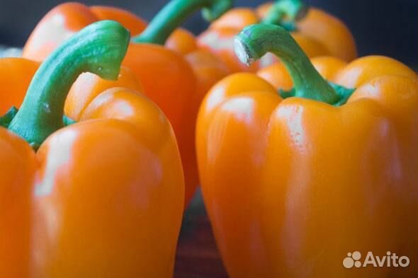 Семена сладких гигантских сортов перца