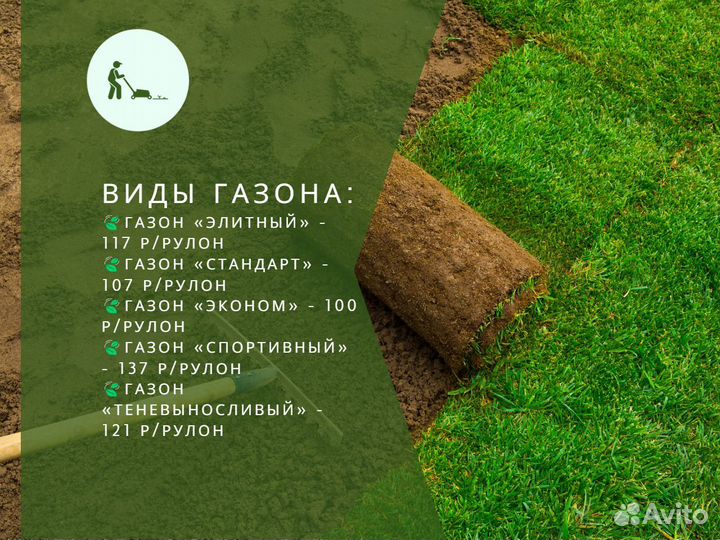 Укладка газона