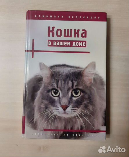 Книга 