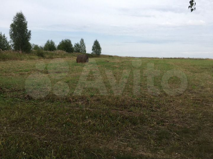 Участок 10 сот. (ИЖС)