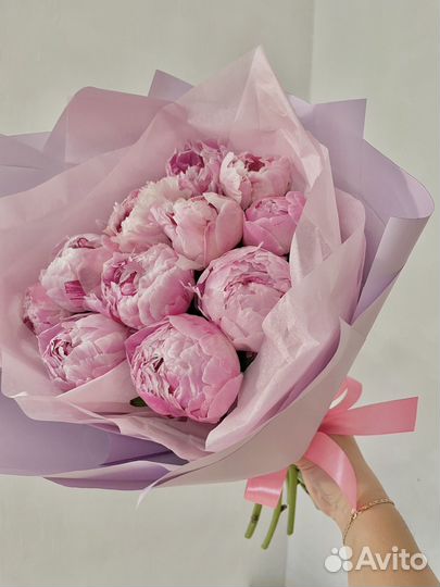 Голландские Пионы в наличии