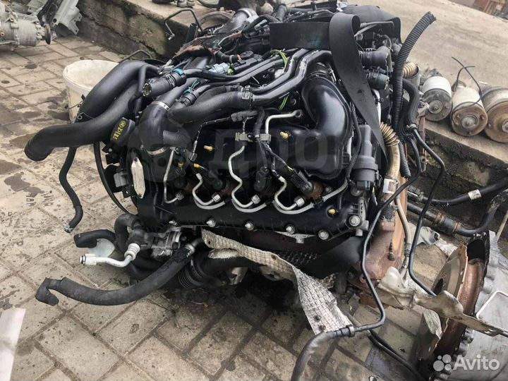 Двигатель контрактный на Land Rover