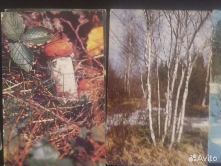 Коллекция 100шт календариков СССР