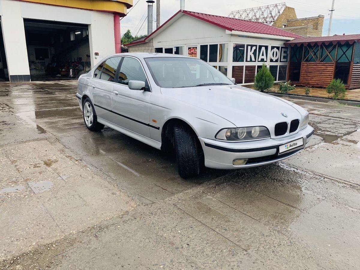 BMW 5 серия: фото владельца