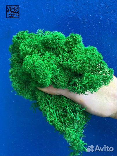 Стабилизированный ягель от производителя, Зелёное