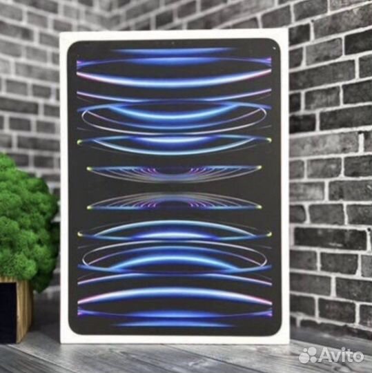 iPad Pro 11 M2 2TB 2022 LTE