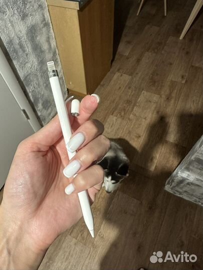 Apple pencil