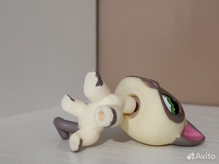 Littlest pet shop