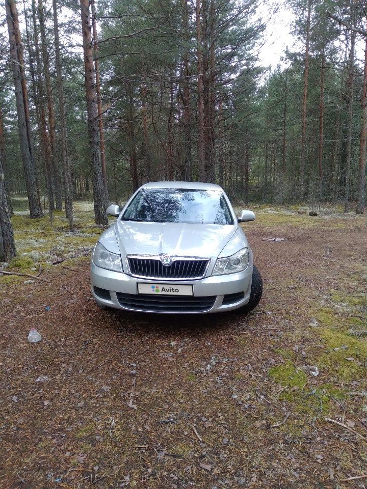 Skoda Octavia: фото владельца