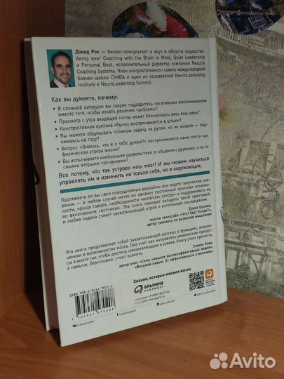 Мозг. Инструкция по применению (Дэвид Рок)