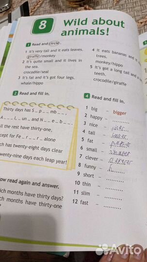 Spotlight 4 класс рабочая тетрадь