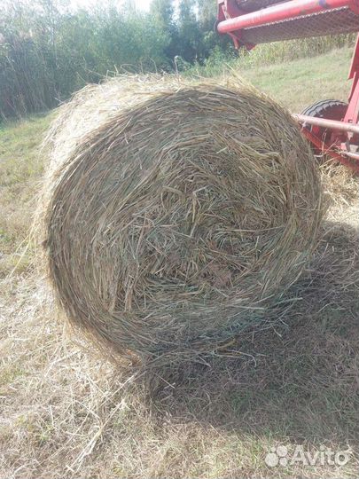 Сено в рулонах
