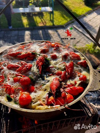 Живые волжские раки