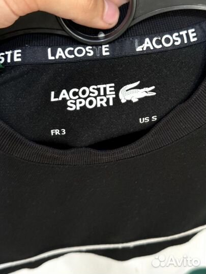 Свитшот Lacoste