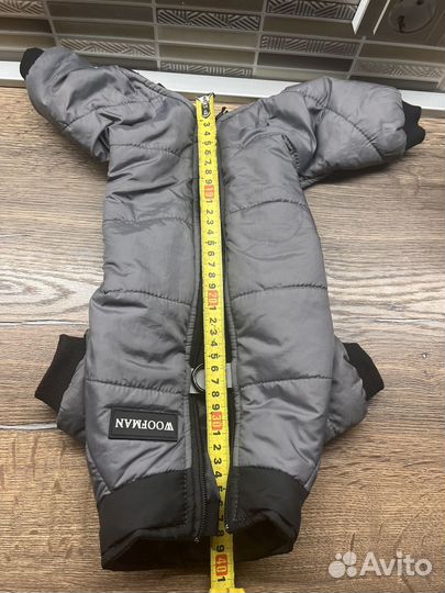 Одежда для средних собак