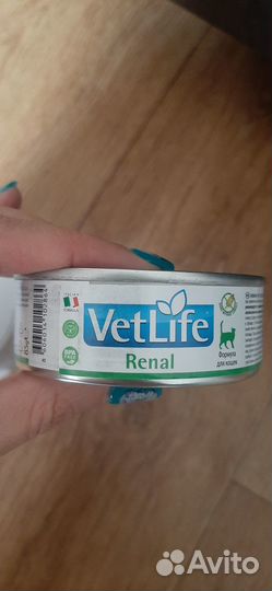 BetLife Renal для кошек