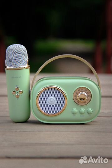 Блютуз колонка караоке 6 голосов jojocat оригинал