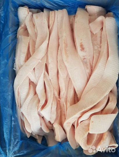 Шпик хребтовой