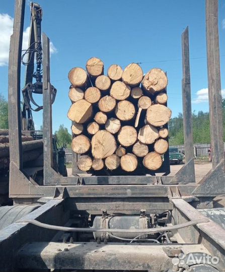 Лес кругляк строевой