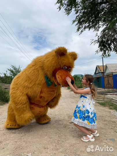 Медведь поздравление