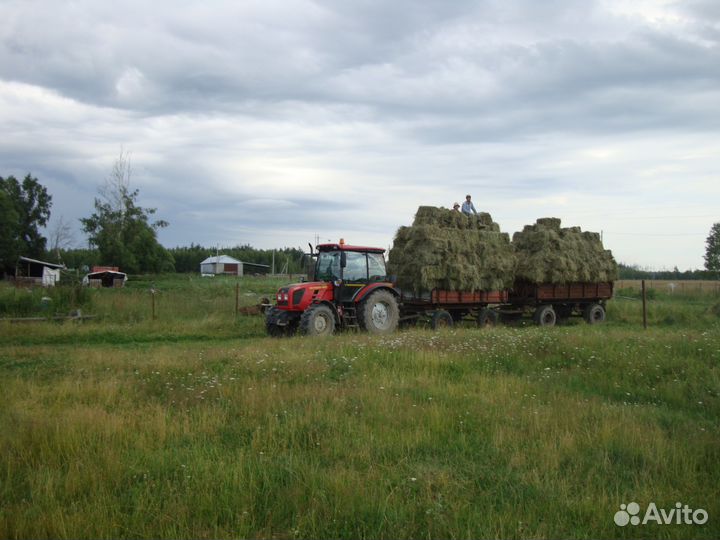 Сено в тюках 2023года,из засеянных трав