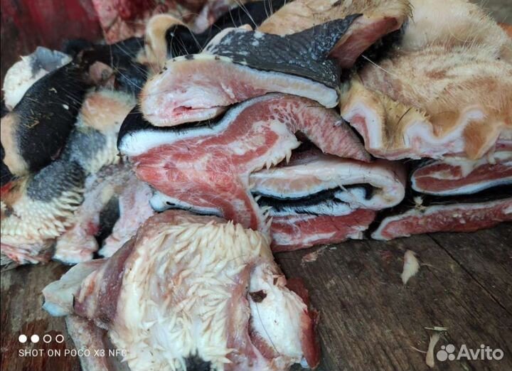 Говядина, баранина, мясные срезки