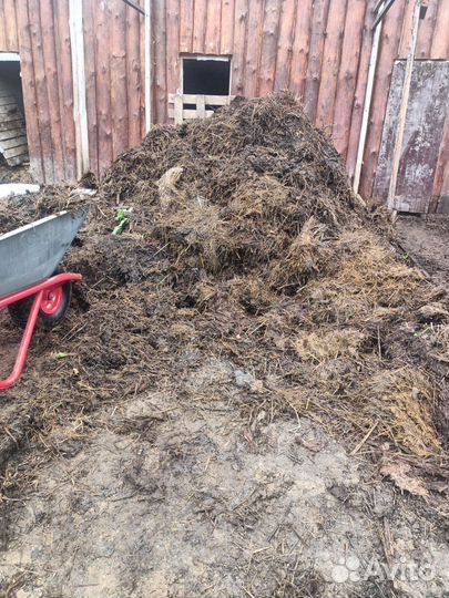 Навоз коровяк