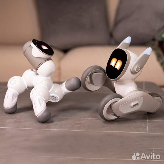 Loona домашний питомец с искуственным интелектом в