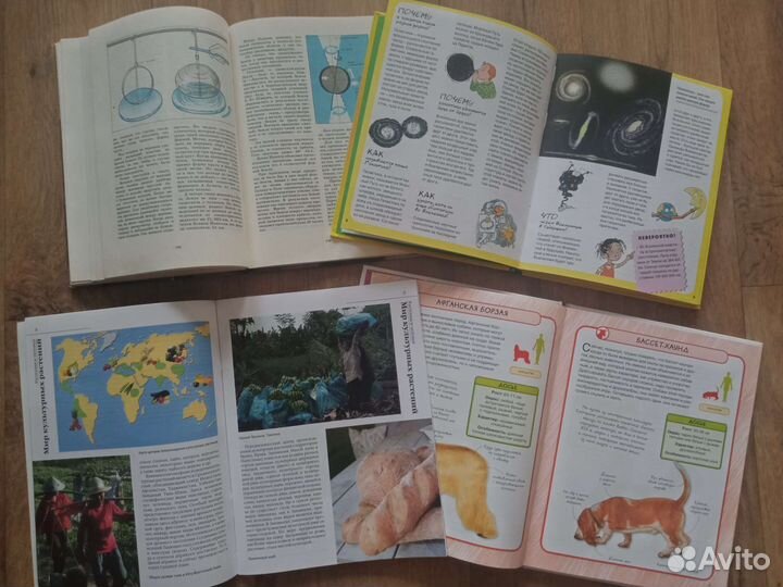 Энциклопедия младшему школьнику