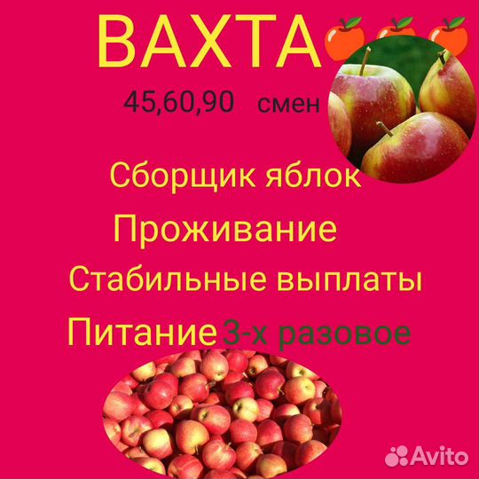 Разнорабочий вахта
