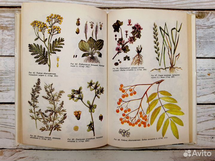 Книга о применении дикорастущих растений