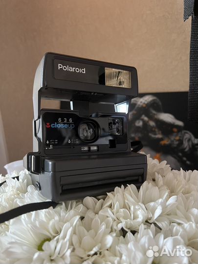 Фотоаппарат Polaroid, аренда
