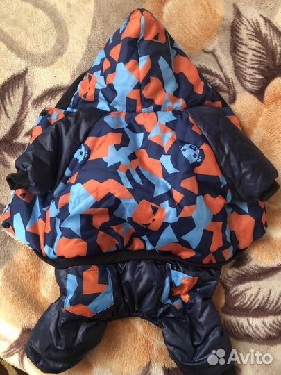 Одежда для собак