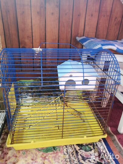 Клетка для попугая, клетка для хомяка