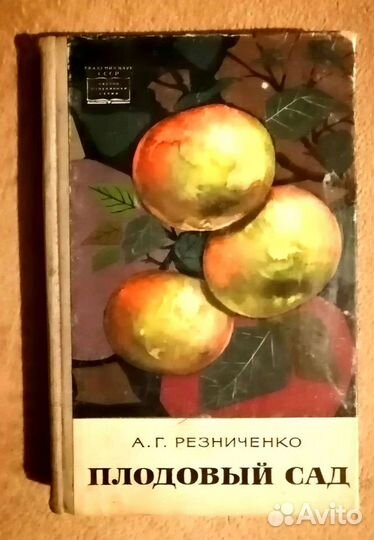 А.Г. Резниченко 