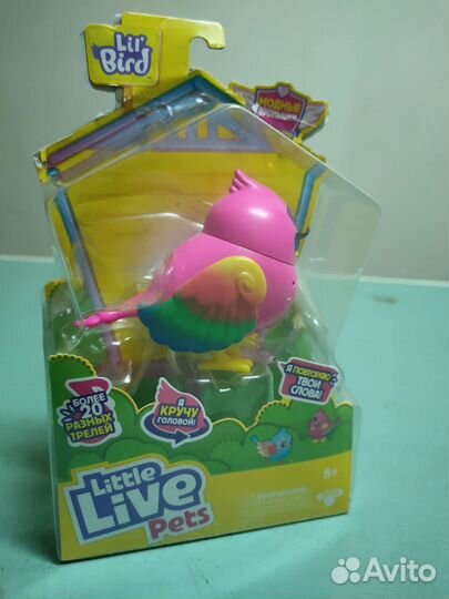 Птичка певунья новая