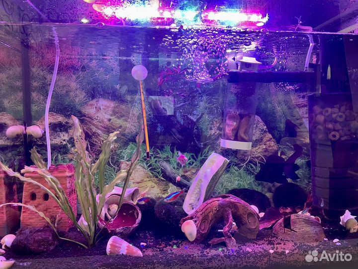 Аквариум