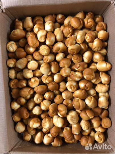 Сыр мойарелла копченный шакрики