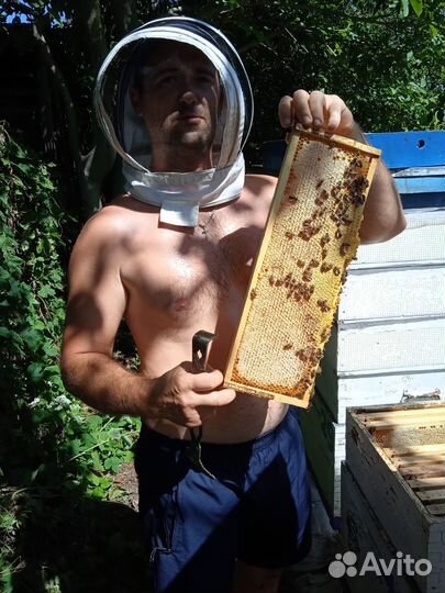 Мёд из личной пасеки 2023